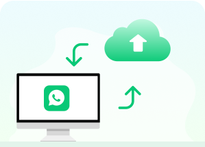 whatsapp data backup