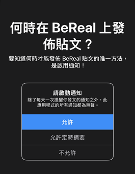 bereal-information