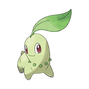 寶可夢ZA菊草葉