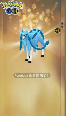 寶可夢交換蒼響