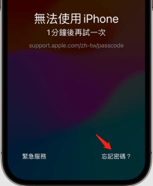 forgot passcode option
