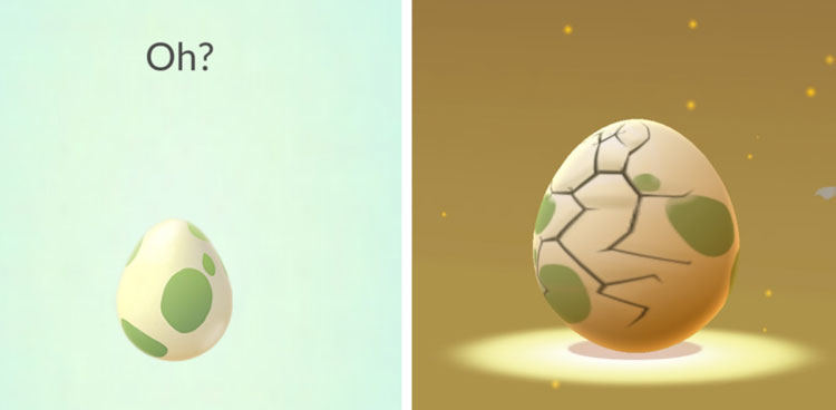 hatching eggs get shiny pokemon