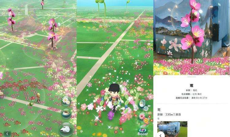 皮克敏種花