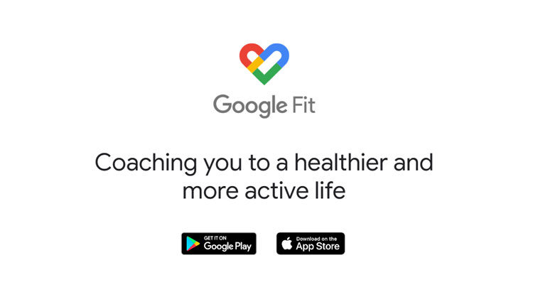 皮克敏Google Fit