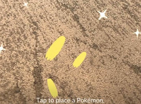 pokemon footprint