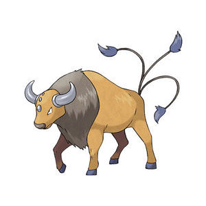 pokemon tauros coordinate
