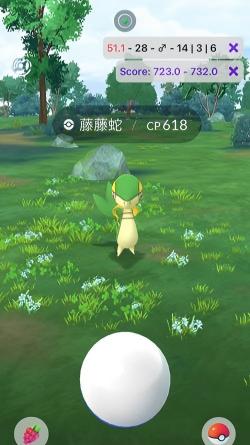 IV 顯示